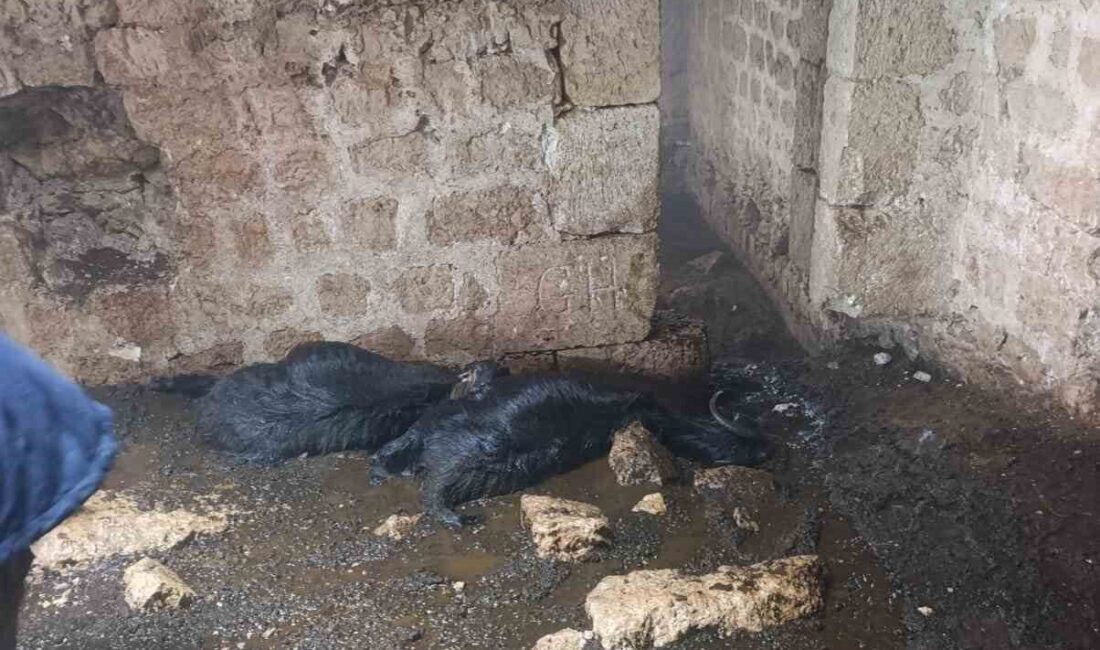 Tarsus ilçesinde sabah saatlerinde meydana gelen sağanak yağış sırasında bir