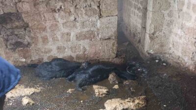Tarsus ilçesinde sabah saatlerinde meydana gelen sağanak yağış sırasında bir
