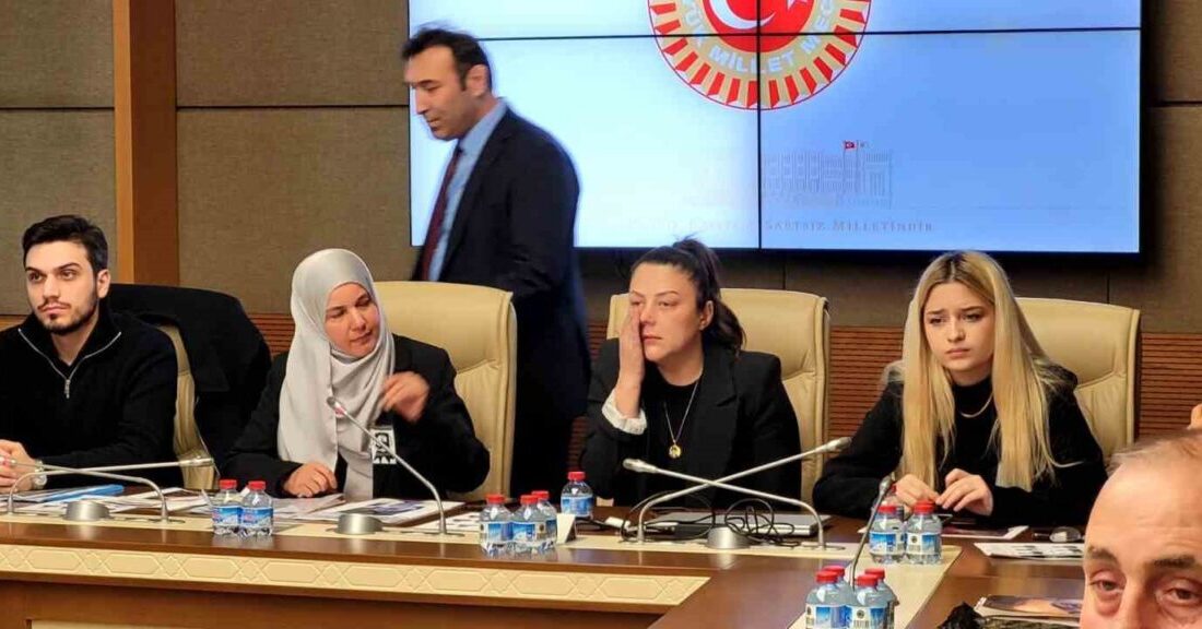 TBMM Suça Sürüklenen Çocuklara İlişkin Araştırma Komisyonu, çocukların suç işlemesine