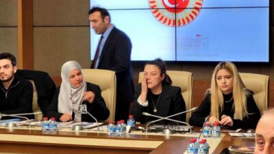 TBMM Suça Sürüklenen Çocuklara İlişkin Araştırma Komisyonu, çocukların suç işlemesine