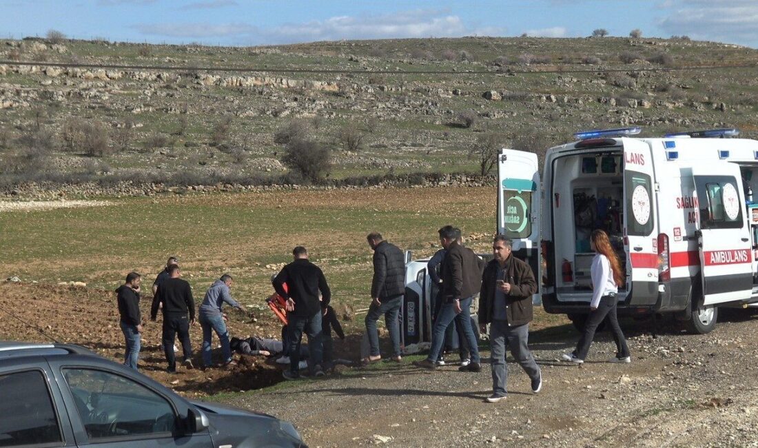 Gercüş ilçesinde meydana gelen trafik kazasında, bir araç telefon direğine