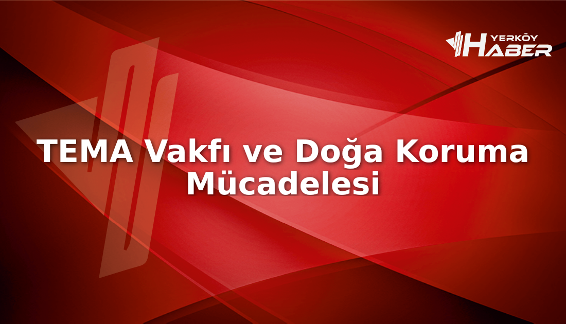 TEMA Vakfı, 1992 yılında erozyonla mücadele amacıyla kuruldu. Bugün 1.25