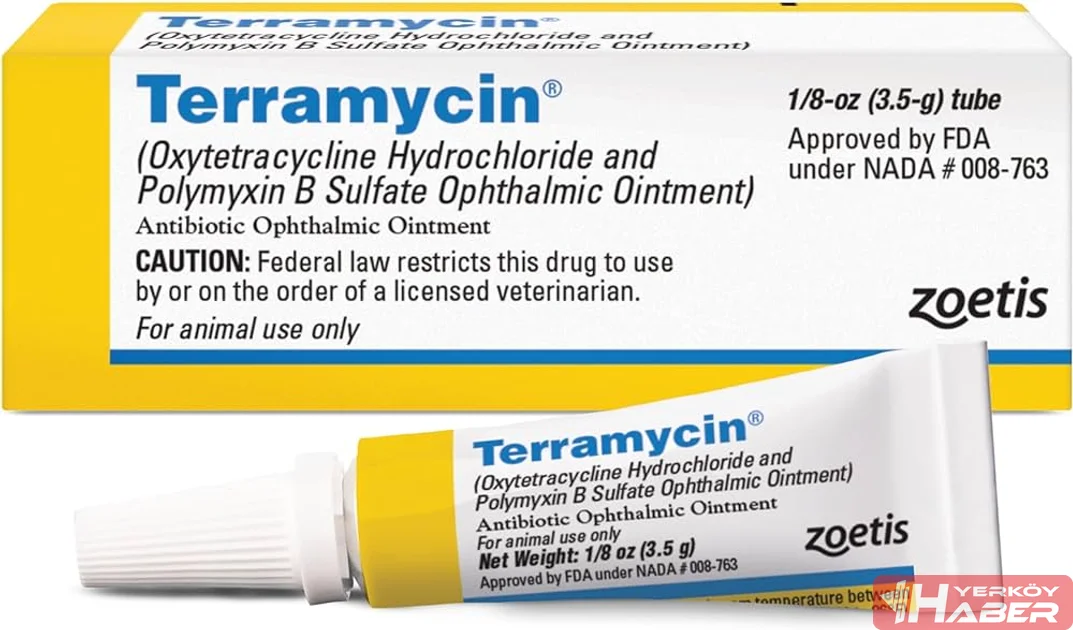Terramycin Göz Merhemi ilaç görseli