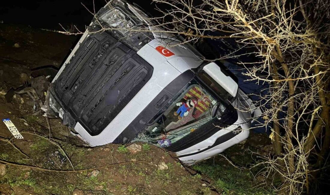 Adıyaman ilinde meydana gelen bir olayda, bir tırın kontrolden çıkıp