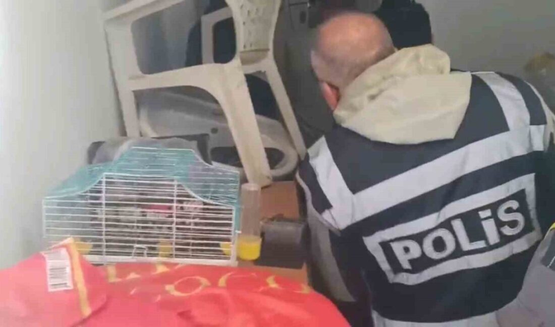 Muğla Emniyet Müdürlüğü, Marmaris Cumhuriyet Başsavcılığı’nın talimatıyla, yabancı turistleri hedef