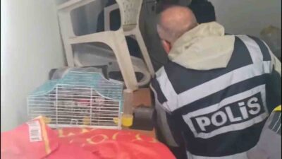 Muğla Emniyet Müdürlüğü, Marmaris Cumhuriyet Başsavcılığı’nın talimatıyla, yabancı turistleri hedef