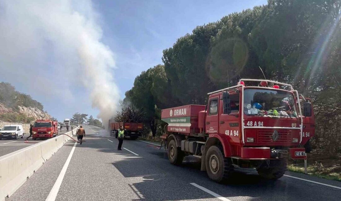 Muğla’nın Sakar Rampası bölgesinde orman yangınlarını engellemek için yapılan temizlik
