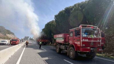 Muğla’nın Sakar Rampası bölgesinde orman yangınlarını engellemek için yapılan temizlik
