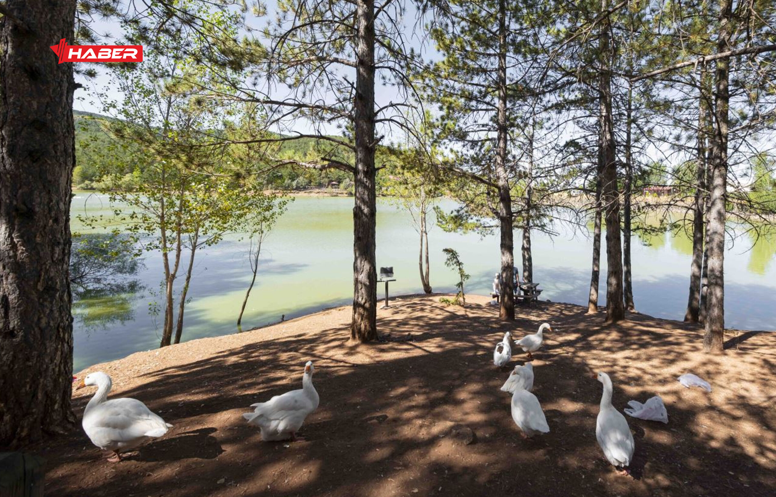 yozgat çamlık milli parkı