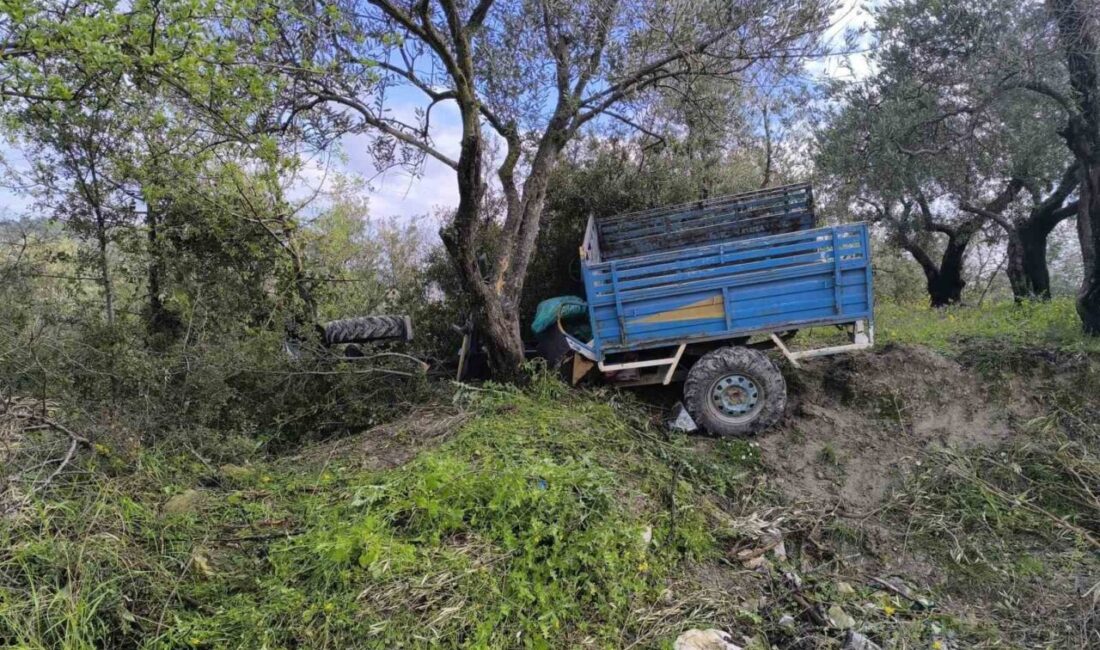 Hatay’ın Yayladağı ilçesine bağlı Görentaş Mahallesi’nde meydana gelen olayda, zeytinliğe