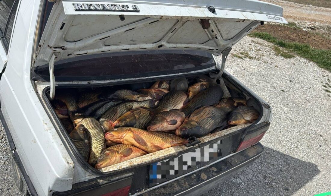 Yozgat İl Jandarma Komutanlığı ekipleri tarafından doğal yaşamın korunmasına yönelik