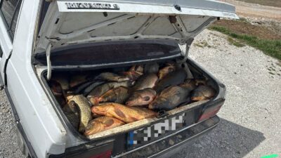 Yozgat İl Jandarma Komutanlığı ekipleri tarafından doğal yaşamın korunmasına yönelik