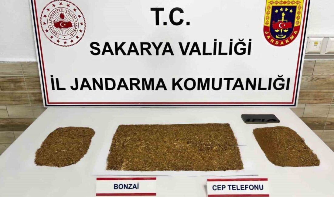 Sakarya ilinde jandarma ekipleri tarafından 4 ilçede sokak satıcılarına yönelik