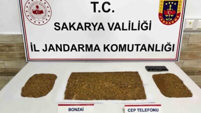 Sakarya ilinde jandarma ekipleri tarafından 4 ilçede sokak satıcılarına yönelik
