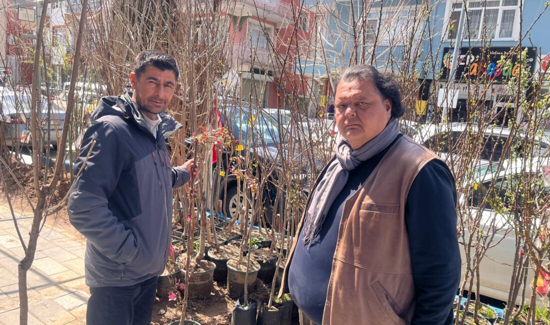 Yerköy ilçesinde baharın gelmesiyle birlikte fidan dikim sezonu hareketlendi. İlçede