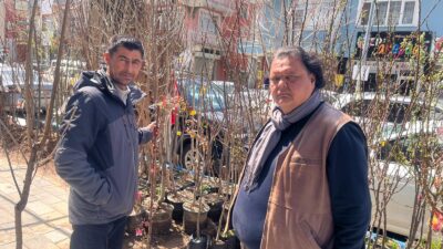 Yerköy ilçesinde baharın gelmesiyle birlikte fidan dikim sezonu hareketlendi. İlçede