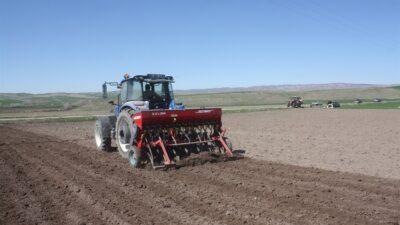 Yozgat İl Tarım ve Orman Müdürlüğü tarafından nohut üretimini artırmaya