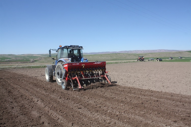 Yozgat İl Tarım ve Orman Müdürlüğü tarafından nohut üretimini artırmaya