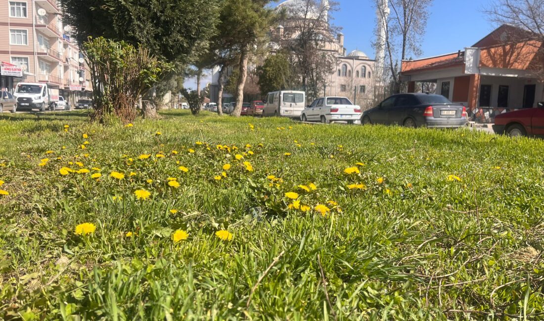 Yozgat’ın Yerköy ilçesinde Nisan ayının gelmesiyle birlikte doğa yeniden canlanmaya