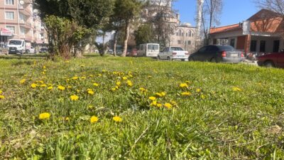 Yozgat’ın Yerköy ilçesinde Nisan ayının gelmesiyle birlikte doğa yeniden canlanmaya