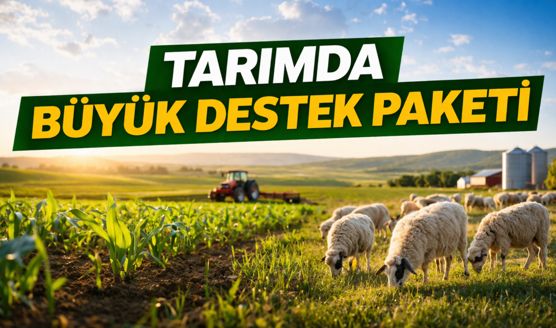 Tarım ve Orman Bakanlığı tarafından hayata geçirilen “Kırsalda Bereket Küçükbaş