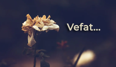 Susuz köyünden, merhum Muhsin Orhan’ın hanımı, Yunus Orhan’ın annesi Badegül