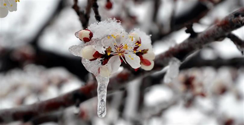 Yerköy İlçe Tarım ve Orman Müdürlüğü, 7-11 Nisan 2026 tarihleri
