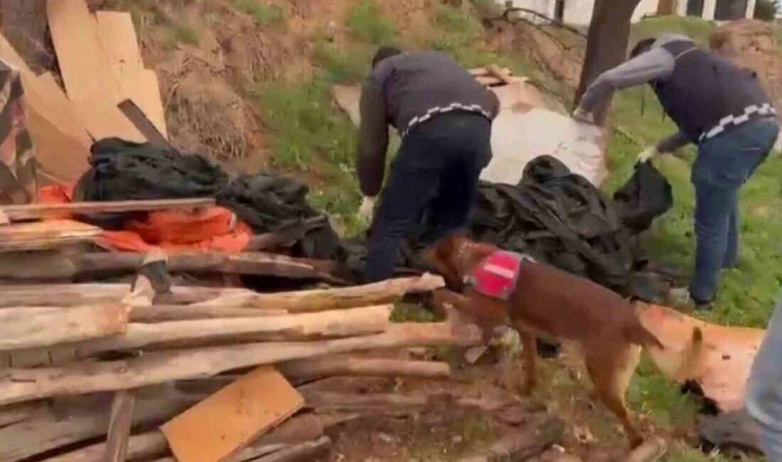 Aksaray’da uyuşturucu üretimi ve ticareti yaptığı şüphelenilen kişilere yönelik operasyon