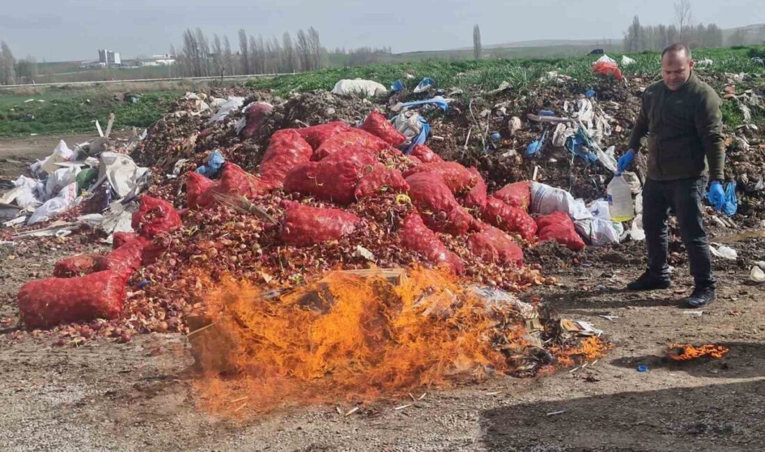 Çorum’un Alaca ilçesinde gerçekleştirilen ayrı ayrı operasyonlarda ele geçirilen kaçak