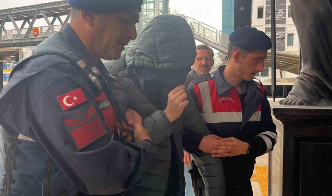 Alanya ilçesinde bir lise öğrencisinin, Siverek ve Kahramanmaraş’ta gerçekleşen saldırıları
