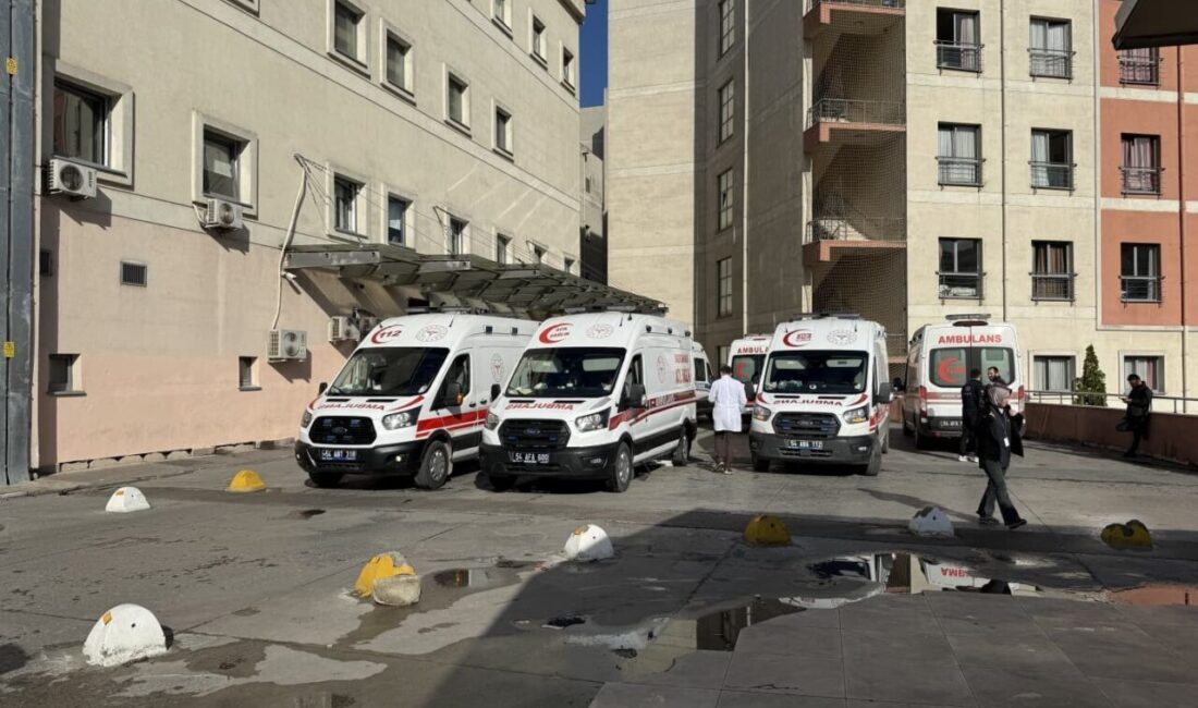 Sakarya’nın Hendek ilçesinde dün gece meydana gelen bir olayda, bir