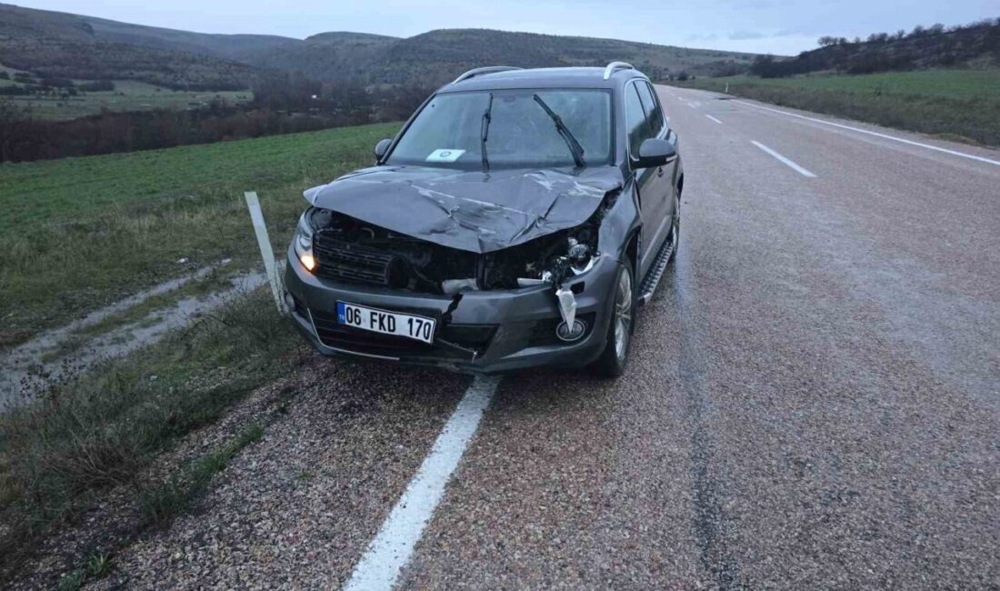 Ankara’da seyir halindeki bir aracın geyiğe çarpması sonucu telef olan
