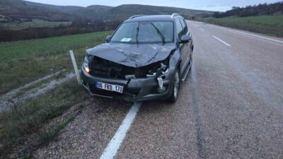 Ankara’da seyir halindeki bir aracın geyiğe çarpması sonucu telef olan