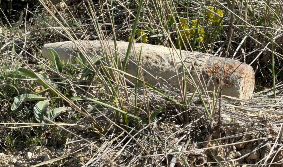 Ankara’da bir vatandaş, mantar toplamak için gittiği arazide top mermisi
