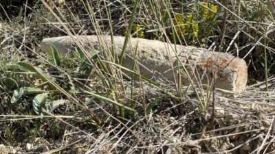 Ankara’da bir vatandaş, mantar toplamak için gittiği arazide top mermisi