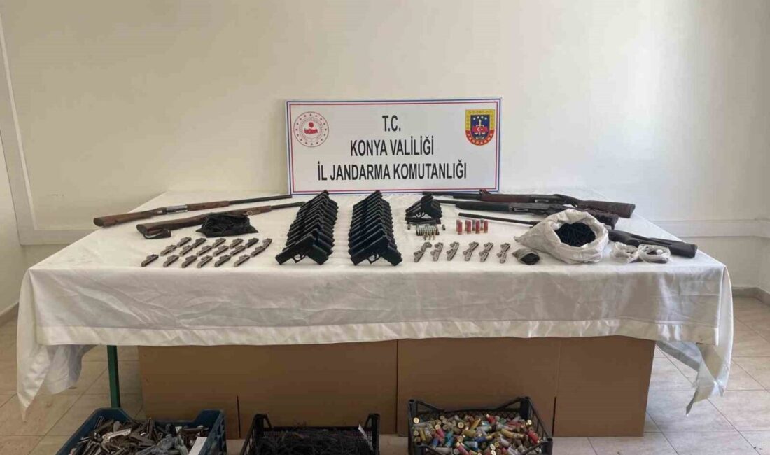 Manavgat ile Beyşehir’de Jandarma tarafından düzenlenen operasyonda çok sayıda ruhsatsız