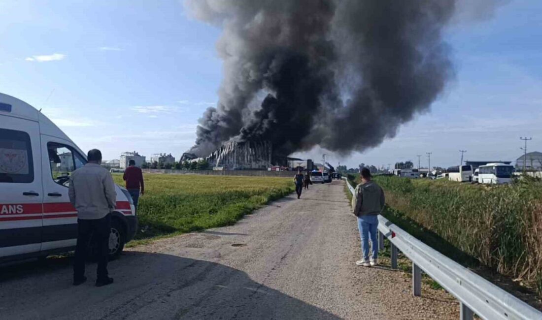 Manavgat ilçesindeki özel bir işletmeye ait kızartmalık patates üretim tesisinde