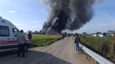 Manavgat ilçesindeki özel bir işletmeye ait kızartmalık patates üretim tesisinde