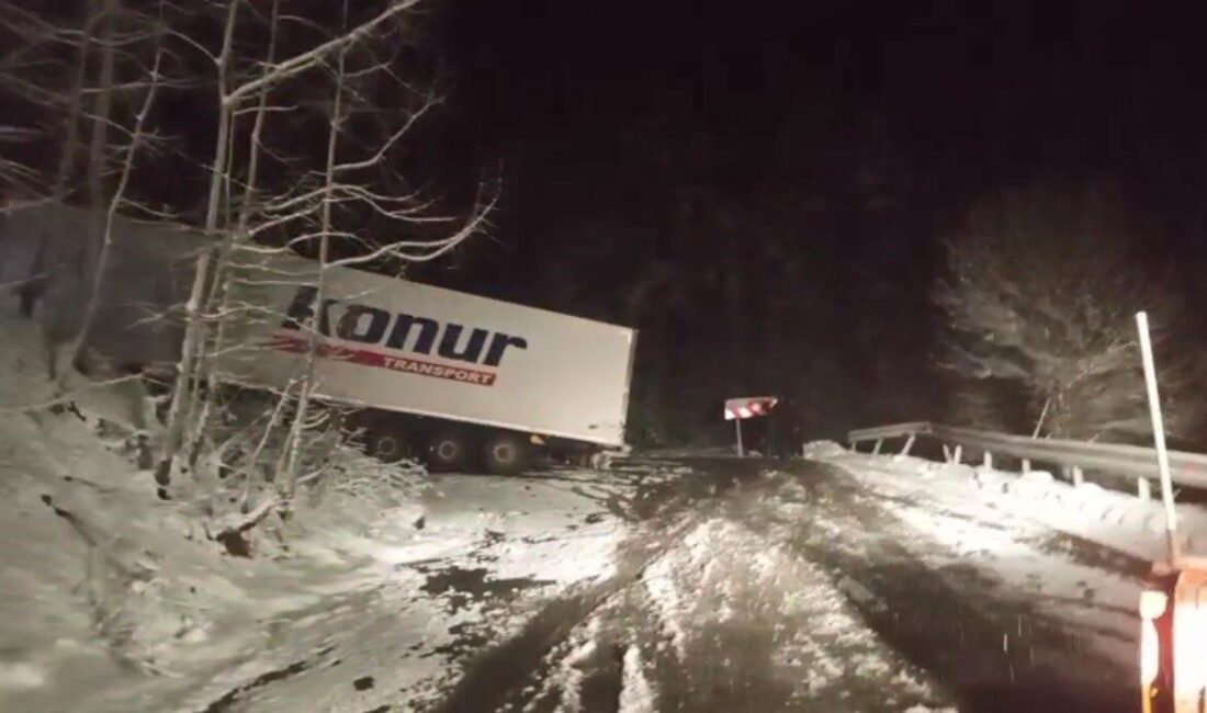 Doğu Anadolu’yu Karadeniz’e bağlayan D-010 karayolunda meydana gelen kaza, Ardahan