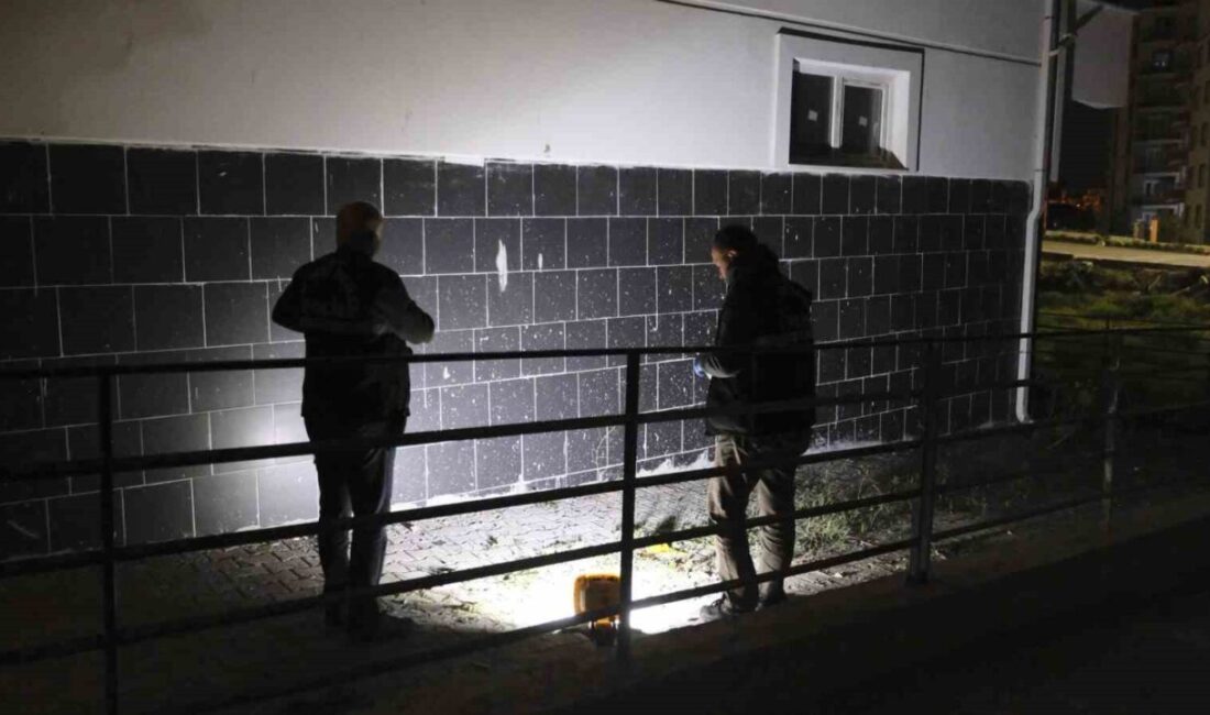 Karaman ilinde, 19 yaşındaki bir üniversite öğrencisi, arkadaşlarının yaşadığı apartman