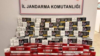 Artvin’de, Mart ayında Jandarma ekipleri tarafından yapılan operasyonlarda 9 bin