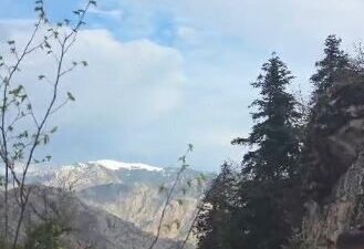 Artvin’in Yusufeli ilçesinde yaylada gezerken düşerek bacağını kıran ve mahsur