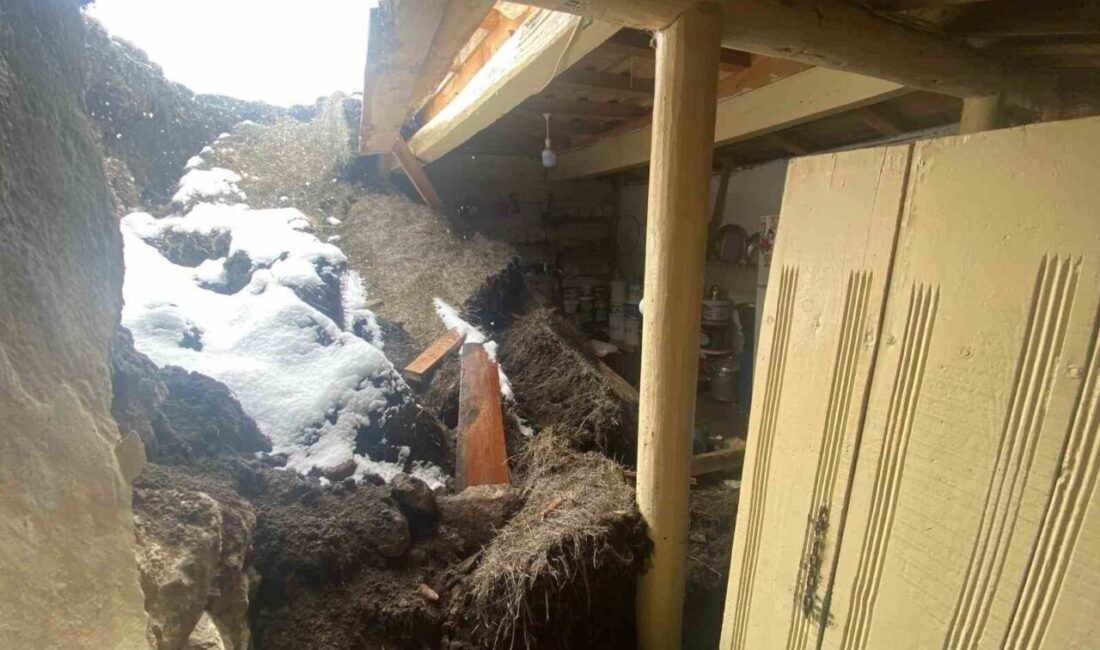 Ardahan ilinde, kar ve yağmurun etkisiyle toprak damlı bir evde