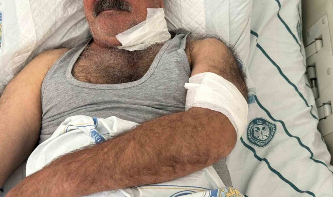 Diyarbakır’ın Sur ilçesinin merkezinde bir kişi, at tarafından boğazından ısırılması