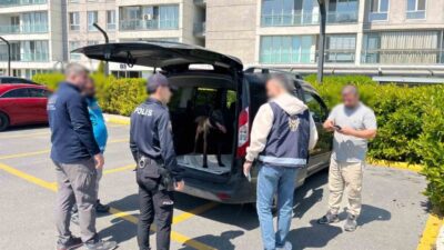 Avcılar ilçesinde, boş bir arazide bir köpeğe kötü davranan bir