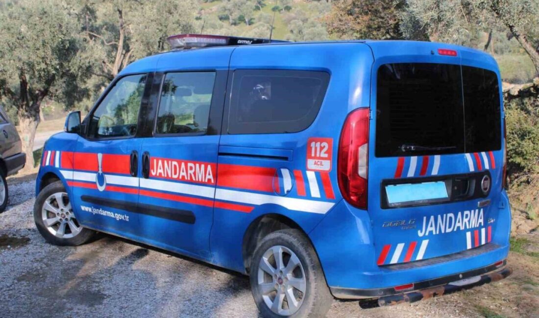 Köşk ilçesinde bir ağaca asılı halde bulunan kişinin kimliği tespit