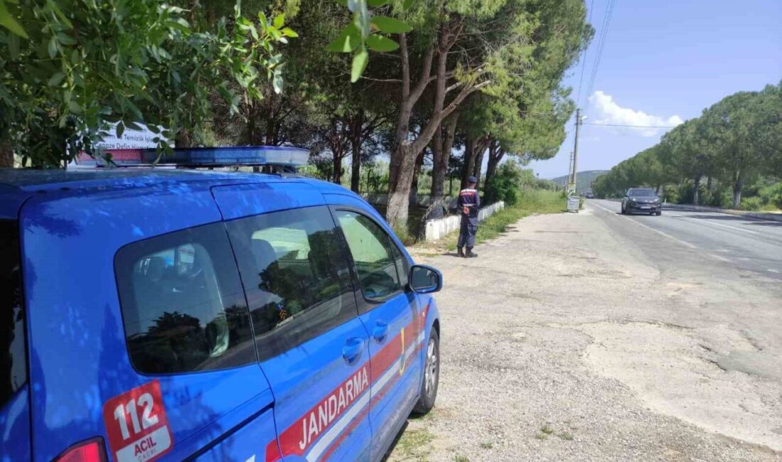 Aydın İl Jandarma Komutanlığı, ÇEMBER-122 Operasyonu adı altında aranan şahıslara