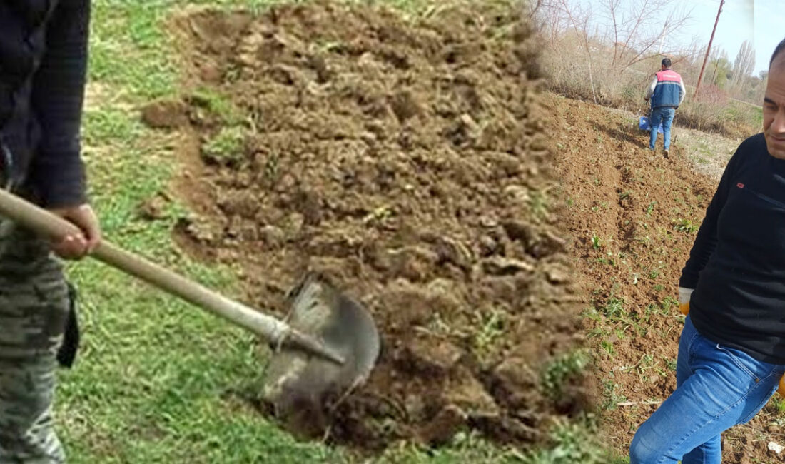 Yozgat’ın Yerköy ilçesinde baharın gelmesiyle birlikte vatandaşlar bahçelerinde çalışmalara başladı.