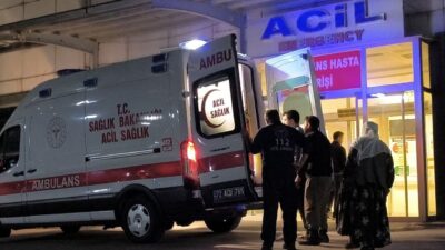 Bağlıca köyünde hayvan otlatırken yediği ottan rahatsızlanan ve kontrolsüz ilaç