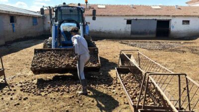 Yozgat’ın Boğazlıyan ilçesinde hayvancılık yapan Özgür Özkan, 200 büyükbaş ve